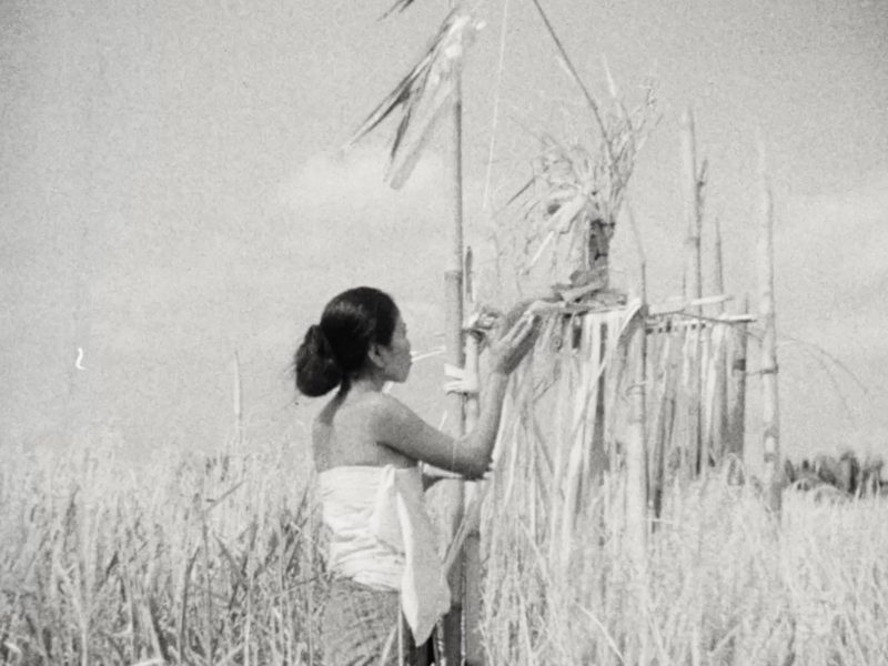 Image 4-11-25 at 7.37 PM